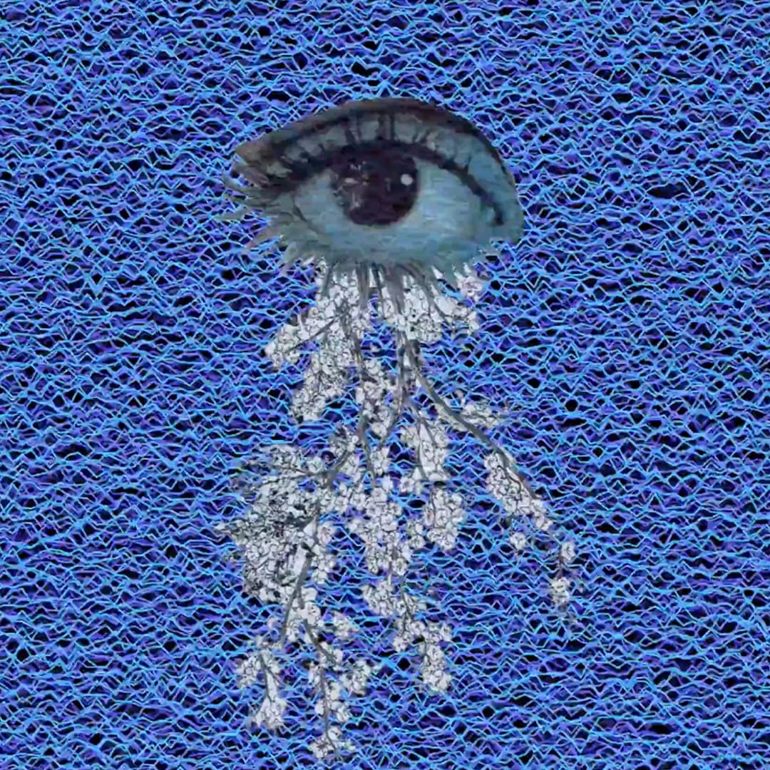Obra 01